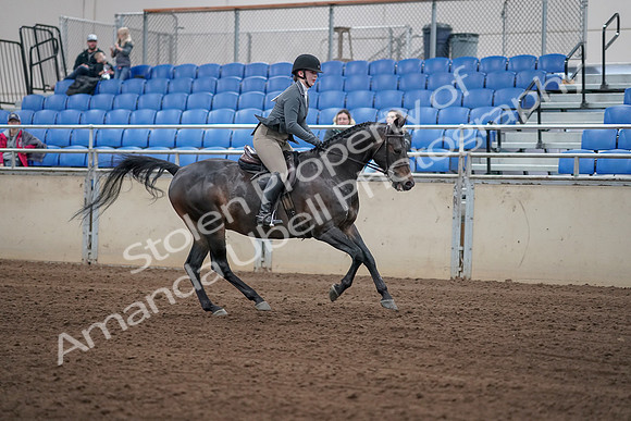 2019 Morgan Horse Show - Sept 01, 2019 - 11130