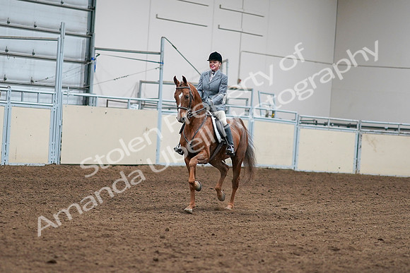 2020 - AB Morgan Horse - Sat, Sept 05 - 03238