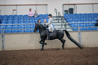 2019 Morgan Horse Show - Aug 31, 2019 - 09243