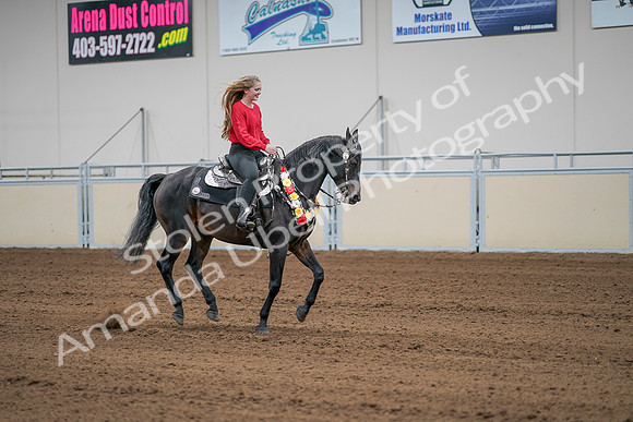 2020 - AB Morgan Horse - Sat, Sept 05 - 10548