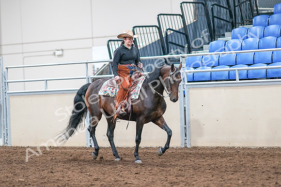 2020 - AB Morgan Horse - Sun, Sept 06 - 01642