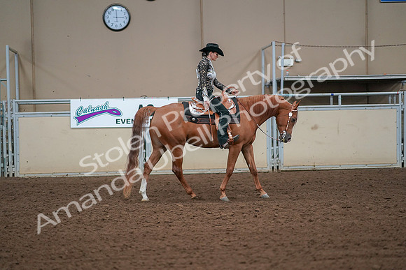 2019 Morgan Horse Show - Aug 30, 2019 - 17021