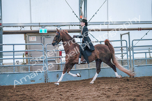 July 20, 2019 - 23841