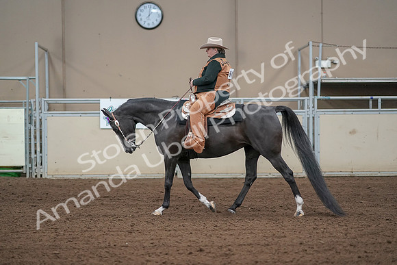 2019 Morgan Horse Show - Aug 31, 2019 - 06070