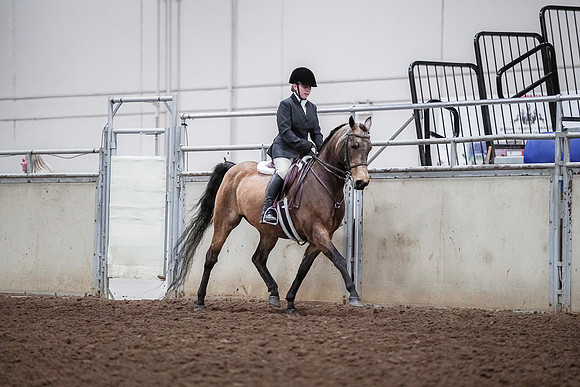 Spring Fling - Saturday - April 20, 2019  -  03788