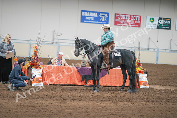 2020 - AB Morgan Horse - Sun, Sept 06 - 01664