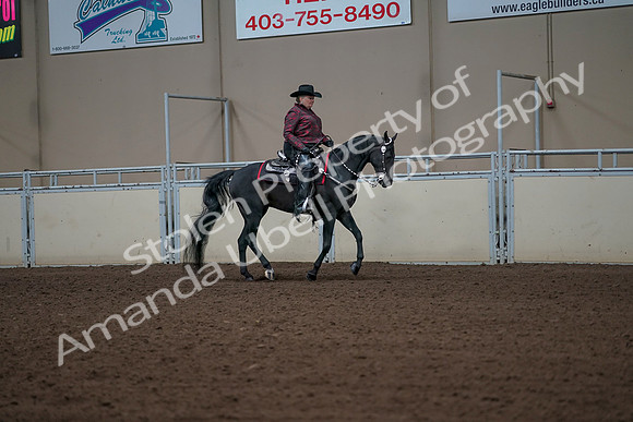 2019 Morgan Horse Show - Aug 31, 2019 - 10707