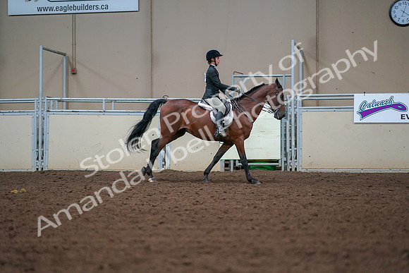 2019 Morgan Horse Show - Aug 30, 2019 - 21041