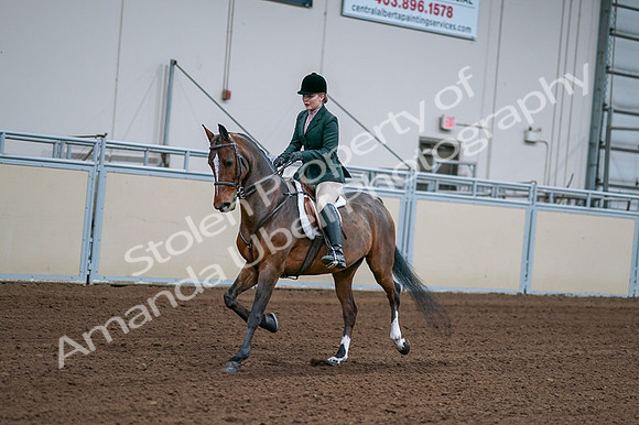 2020 - AB Morgan Horse - Fri, Sept 04 - 01689