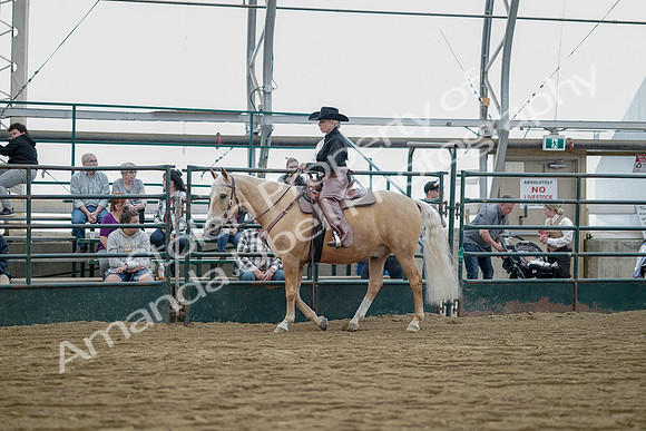 July 21, 2019 - 06529