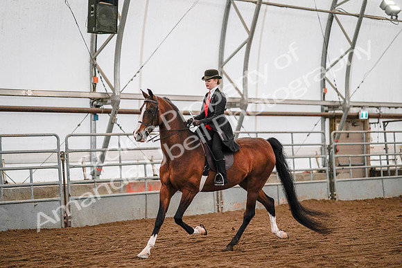 July 19, 2019 - 8883