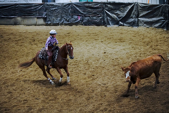 DSC09161