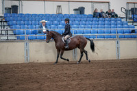 2019 Morgan Horse Show - Sept 01, 2019 - 12755
