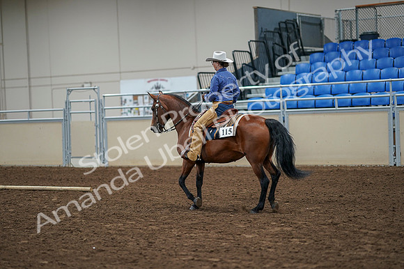 2020 - AB Morgan Horse - Fri, Sept 04 - 00185