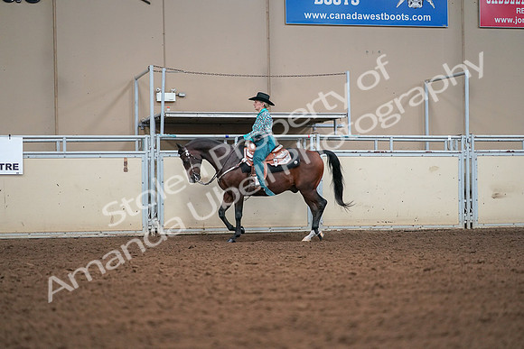 2019 Morgan Horse Show - Aug 30, 2019 - 16798