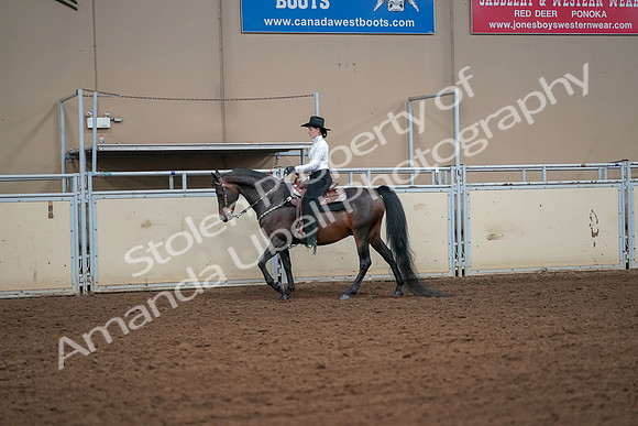 2019 Morgan Horse Show - Aug 30, 2019 - 16905