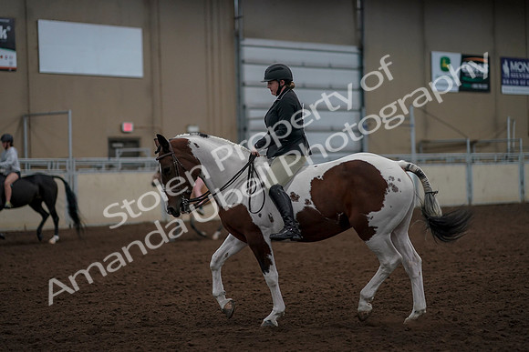 2019 Morgan Horse Show - Aug 30, 2019 - 31154