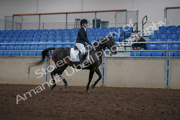 2019 Morgan Horse Show - Aug 31, 2019 - 16747