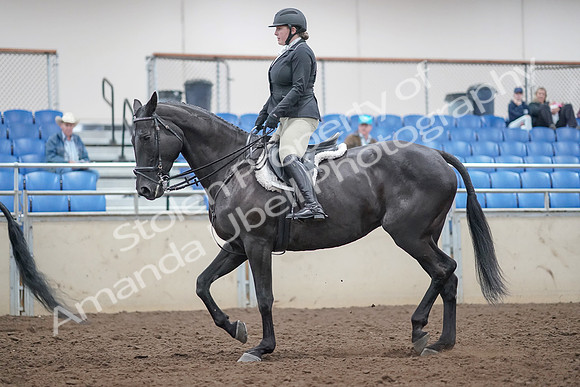 2019 Morgan Horse Show - Aug 31, 2019 - 14799
