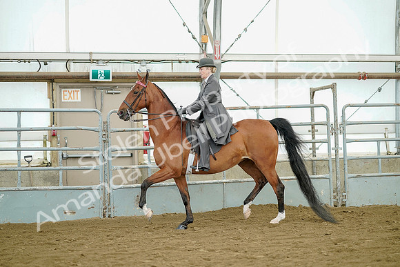 July 20, 2019 - 07708