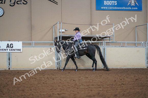 2019 Morgan Horse Show - Aug 30, 2019 - 16819