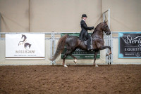 Spring Fling - Saturday - April 20, 2019  -  03614