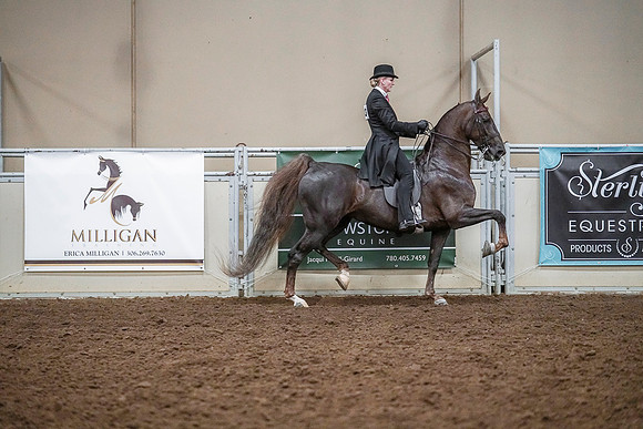 Spring Fling - Saturday - April 20, 2019  -  03614