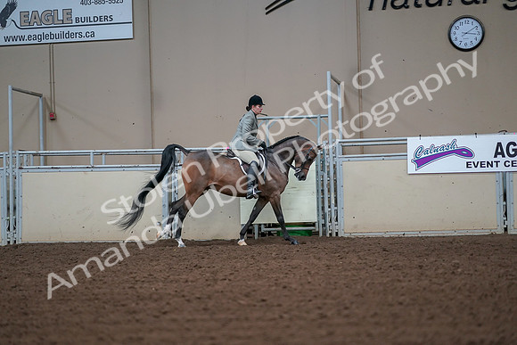 2019 Morgan Horse Show - Aug 30, 2019 - 17612