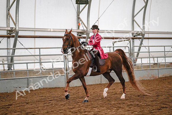 July 19, 2019 - 8925