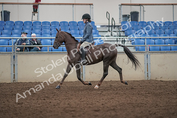 2019 Morgan Horse Show - Aug 31, 2019 - 07298