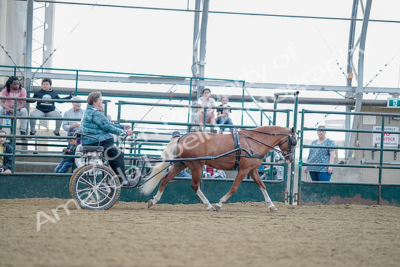 July 21, 2019 - 09135