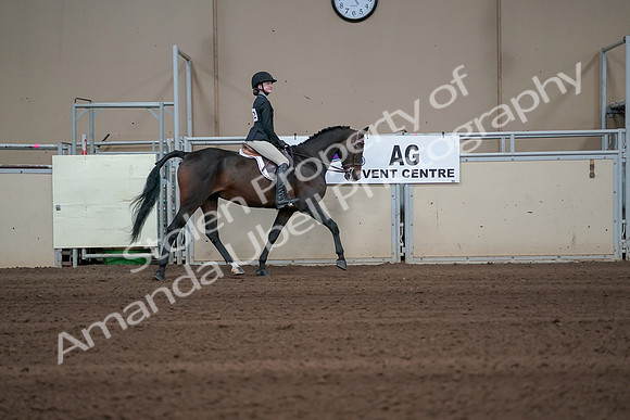 2019 Morgan Horse Show - Sept 01, 2019 - 03809