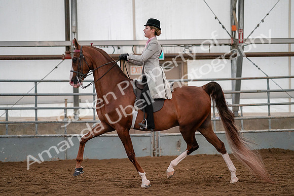 July 19, 2019 - 10446