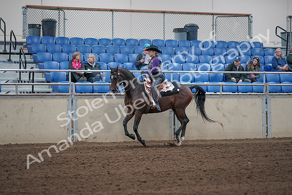 2019 Morgan Horse Show - Aug 31, 2019 - 10633