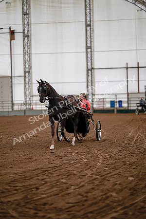 July 19, 2019 - 6698