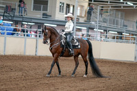 2020 - AB Morgan Horse - Fri, Sept 04 - 08242