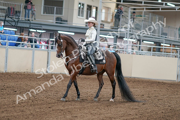 2020 - AB Morgan Horse - Fri, Sept 04 - 08242