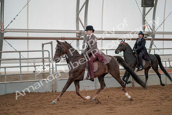 July 20, 2019 - 04335