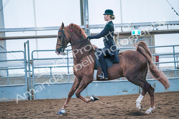 July 20, 2019 - 24011