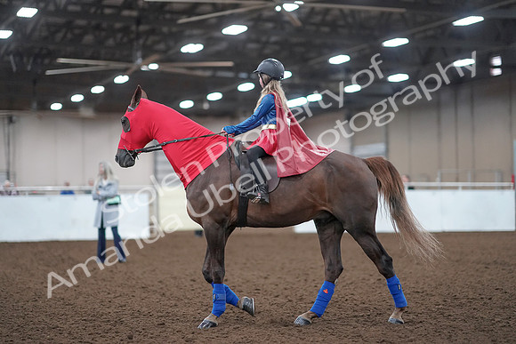 2019 Morgan Horse Show - Aug 31, 2019 - 10082