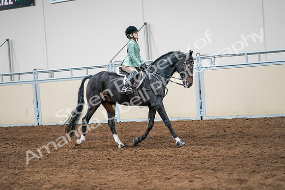 2020 - AB Morgan Horse - Sun, Sept 06 - 08051