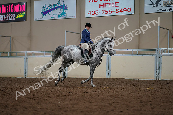 2019 Morgan Horse Show - Aug 30, 2019 - 22516