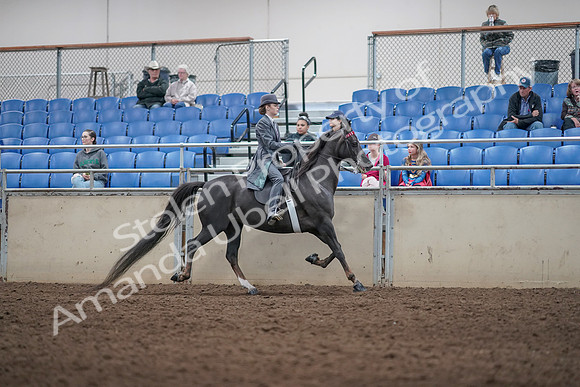 2019 Morgan Horse Show - Aug 31, 2019 - 09637