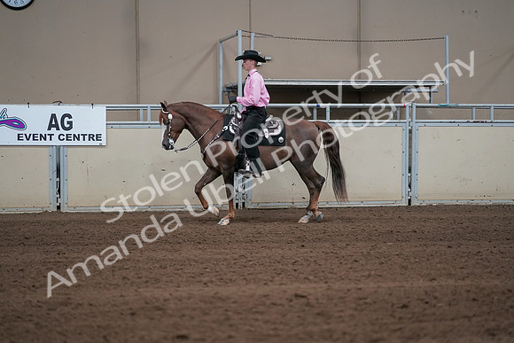 2019 Morgan Horse Show - Sept 01, 2019 - 06893