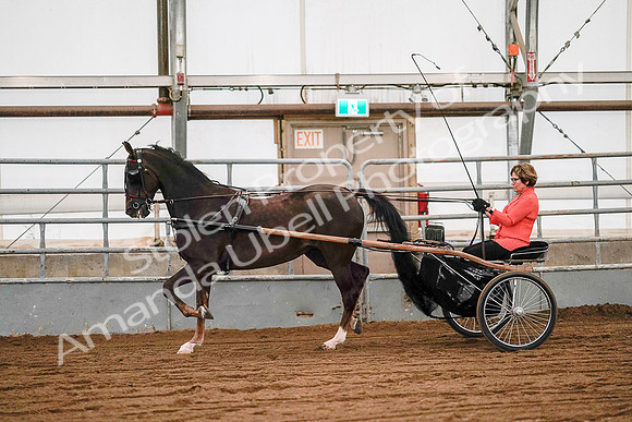 July 19, 2019 - 6990