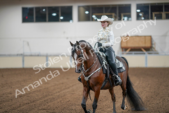 2020 - AB Morgan Horse - Sun, Sept 06 - 07616