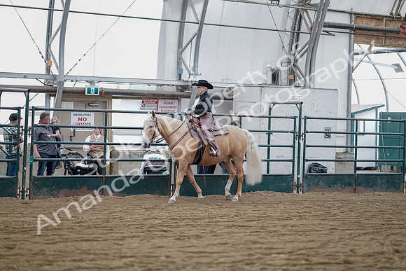 July 21, 2019 - 06516