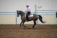 2020 - AB Morgan Horse - Sat, Sept 05 - 05656