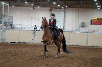 2020 - AB Morgan Horse - Sat, Sept 05 - 06690
