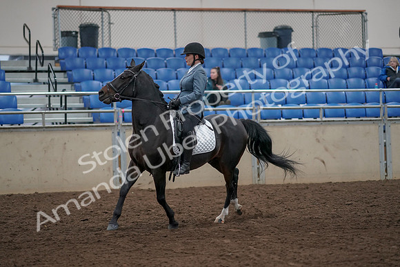 2019 Morgan Horse Show - Aug 31, 2019 - 07314